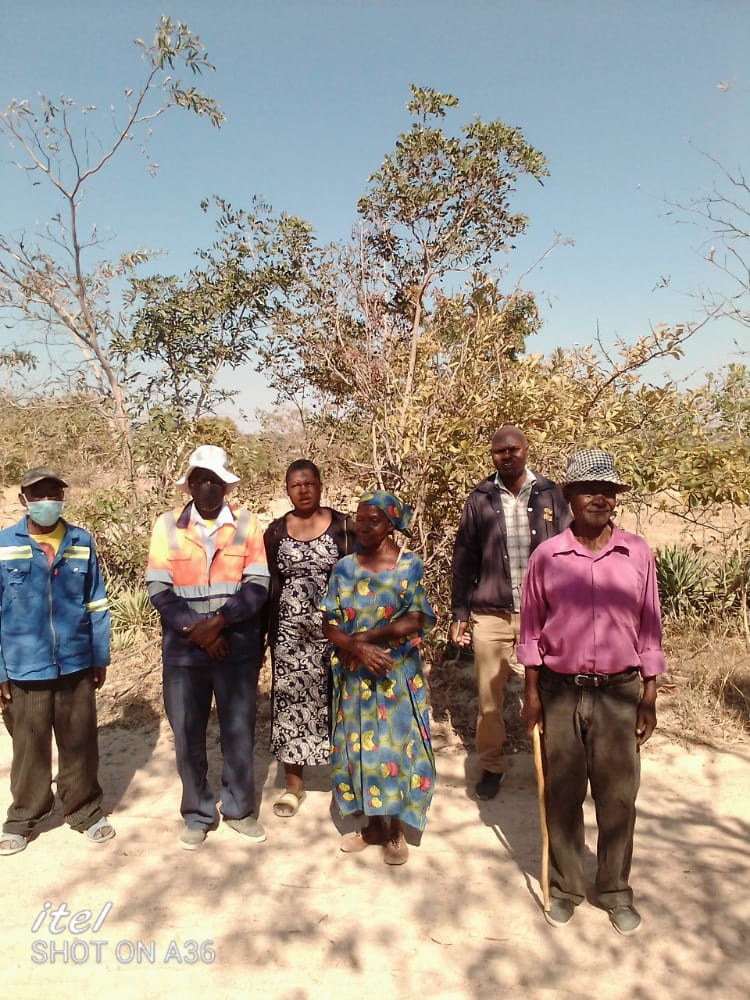 Institutional Foundation